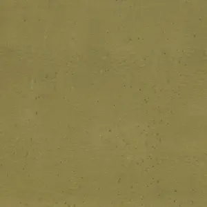 10007 | Olive dark yellow