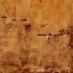 Xstone -color - Rust