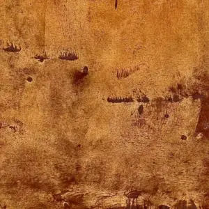 Xstone -color - Rust