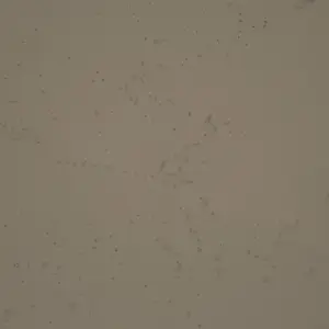 XStone - Color - Stone dark grey