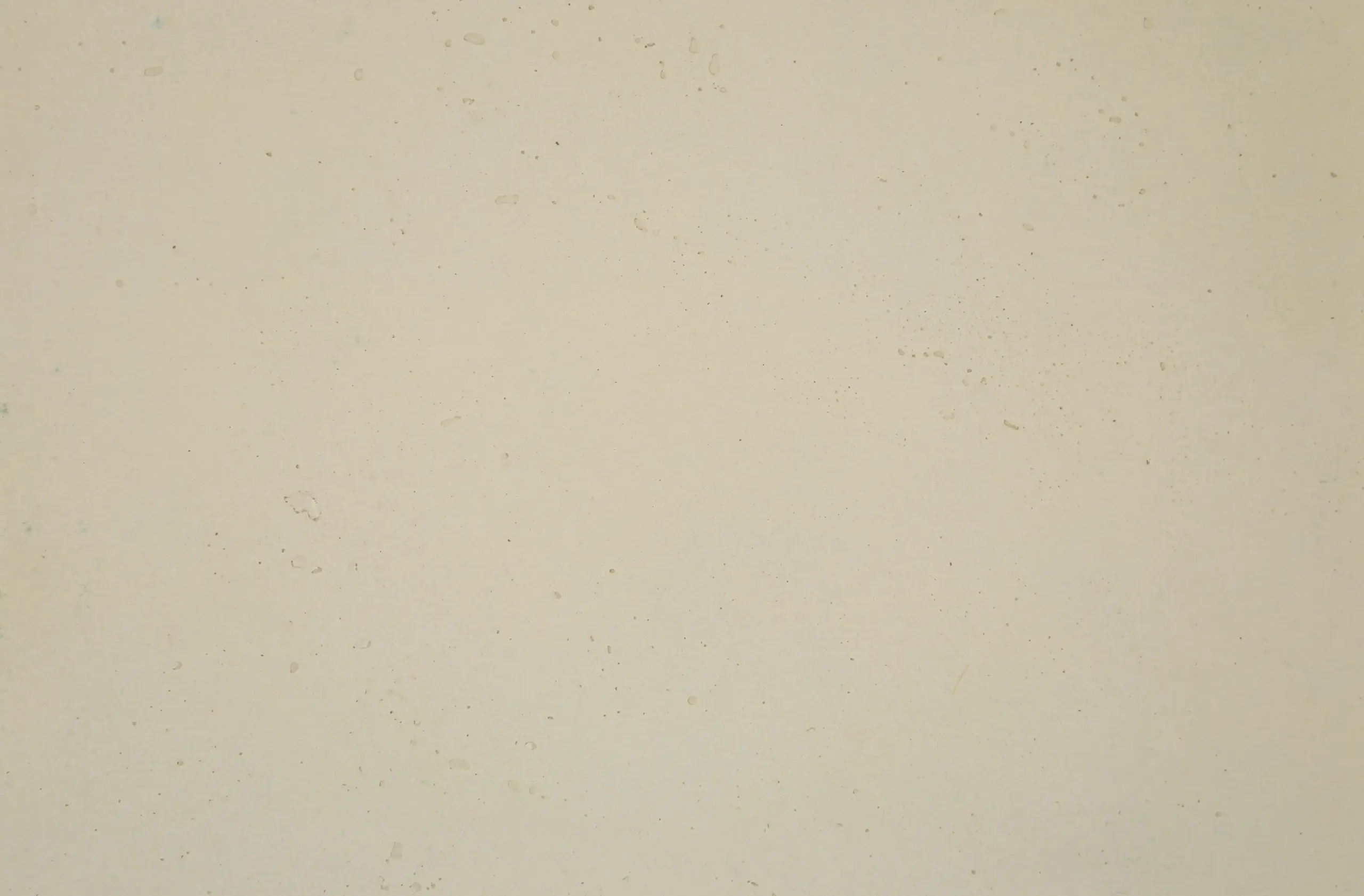 XStone - Color - Dark Ivory