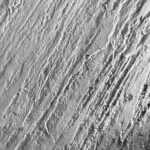 XStone -Texture - Slate