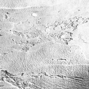 XStone -Texture - Trash