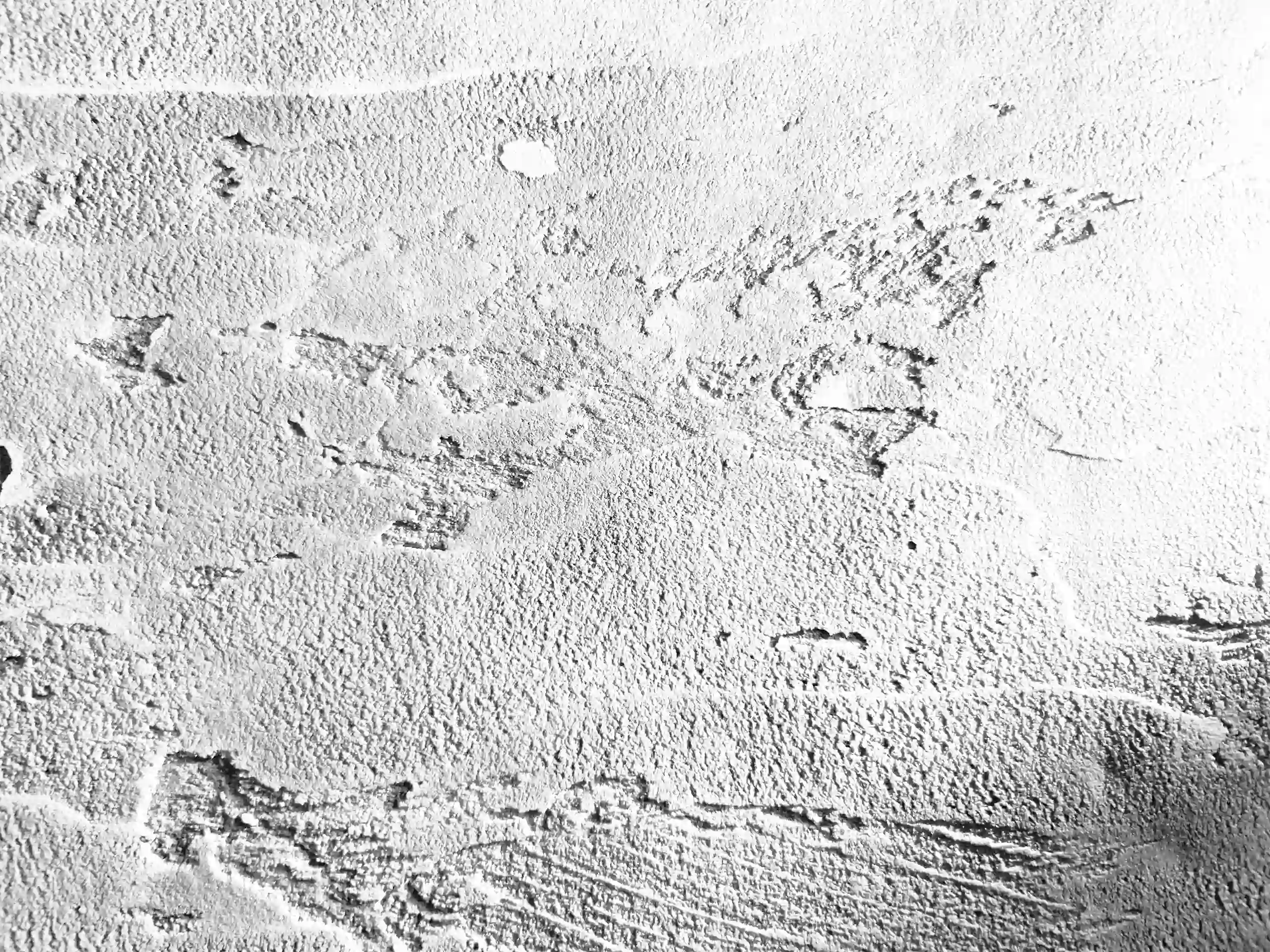 XStone -Texture - Trash