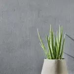 flexible mineral veneer roll smooth middle grey