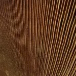 striated rust effect flexible